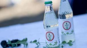 İzmir’de bir ilk: Büyükşehir’in fide desteğiyle şekersiz gazoz üretildi