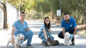 İzmir’de el konulan 20 cins köpek sahiplendirilecek