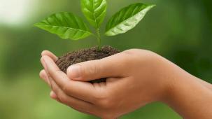 İzocam'dan 'Sürdürülebilirlik Raporu'