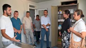 Manisa’da sokak hayvanları için yeni yaşam alanları oluşturuluyor