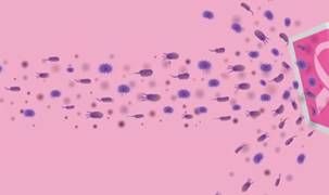 'Meme kanseriyle mücadeleye destek' hibe başvurularında son gün 22 Eylül