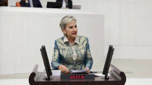 Milletvekili Özdemir öğrencilerin aç okula gitmesini TBMM'ye taşıdı