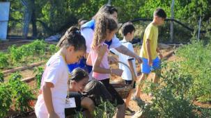 Muğla’da minik eller hasat sevinci yaşadı