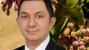 UKAB MYK Üyesi Büyükmurat: İthal fıstık çiftçiyi bitirir!