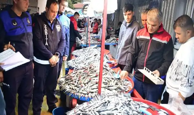 Bursa Yenişehir'de balık pazarına sıkı denetim