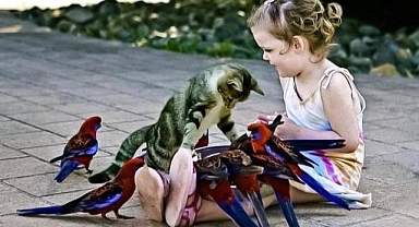 En iyi antidepresan karşılıksız iyilik yapmak!