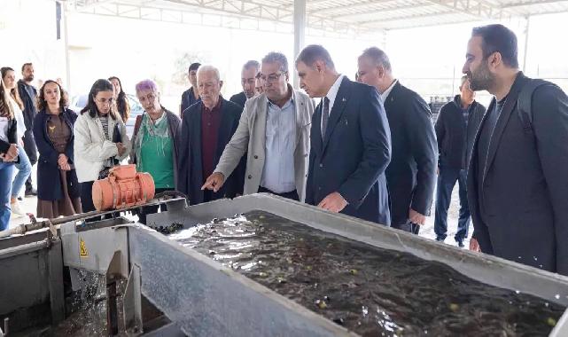 İzmir'de sezonun ilk zeytinyağı Başkan Tugay’dan