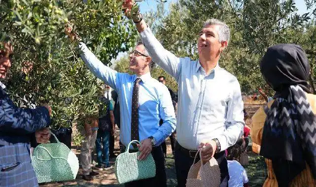 Manisa Soma’da zeytin hasadı şenliği