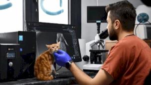 Balıkesir Büyükşehir’den can dostlara tam destek