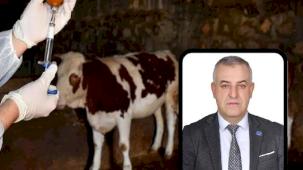 Bursa Mustafakemalpaşa’da şap alarmına A Parti açıklaması