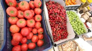 Efes Tarlası Yaşam Köyü’nde Üretici Pazarı 19 Ekim'de kapılarını açıyor