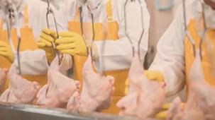 Filipinler’e kanatlı eti ve su ürünleri yolu açıldı