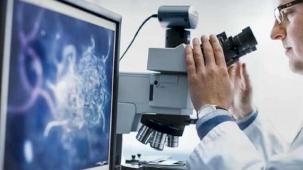 Hizmette en yüksek artış mesleki ve bilimsel oldu