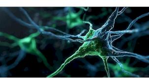 Kaspersky, Windows Server sistemlerini hedef alan PassiveNeuron siber casusluk operasyonunu ortaya çıkardı