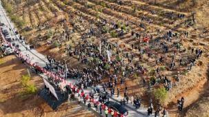 Malatya'da deprem şehitleri hatıra ormanı yenileniyor