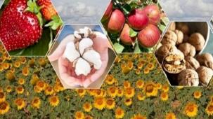 Tarımda zor yıl beklentisi!