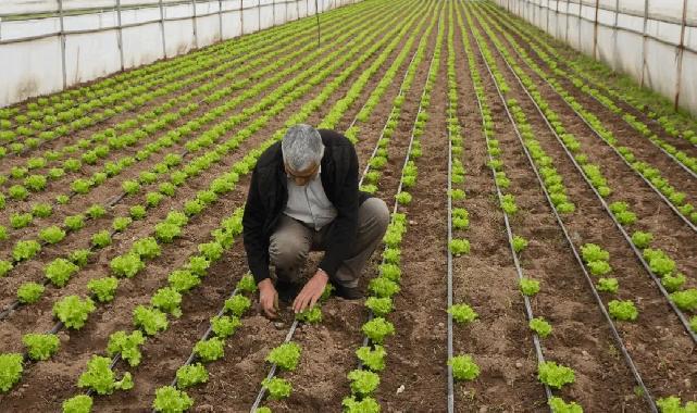 Balıkesir Büyükşehir'den üreticilere tam destek