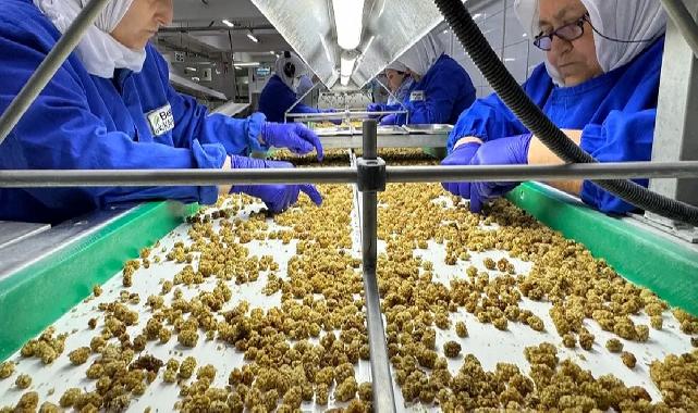 Organik sektör 15 milyar dolarlık hacme ulaştı