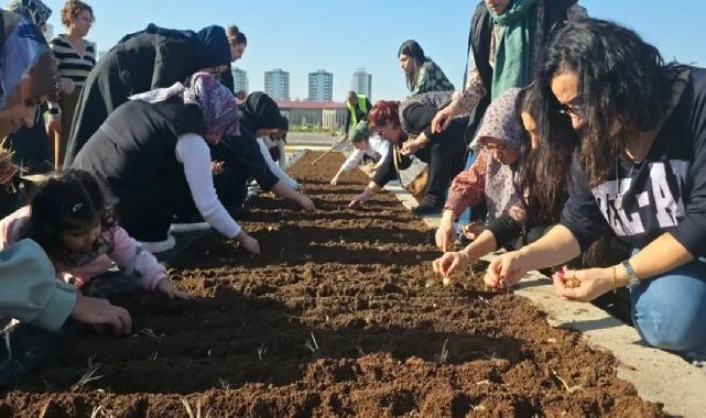 Diyarbakır Tıbbi ve Aromatik Bitkiler Atölyesi’nde safran ekimi