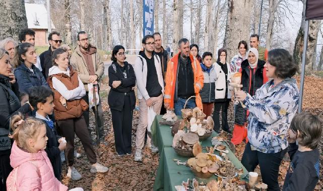 Kocaeli Kuzuyayla’da mantarların gizemli dünyası keşfedildi