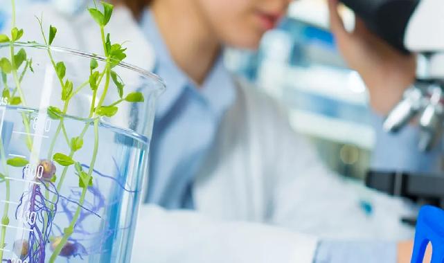 Laboratuvar denetimlerinde yeni kural! Cezalarda tarih hesabı il müdürlerine bağlandı