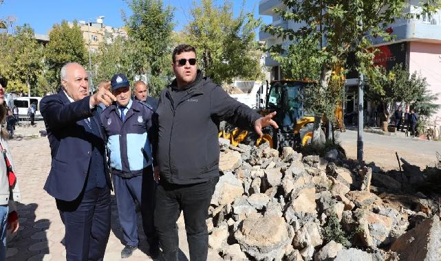 Mardin Yeşilli’de büyük dönüşüm... 50 bin ağaçlık yeşil hamle