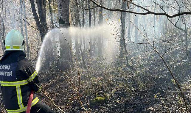 Ordu’da bir haftada 40 yangın alarmı