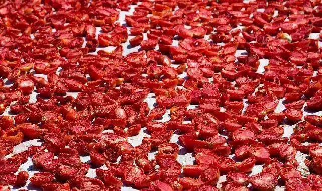 Kuru domates ihracatta dünya ikincisi