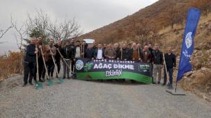 Ali Dağı'nın zirvesine bin 111 fidan