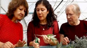 Antalya’da 'Tıbbi ve Aromatik Bitki Yetiştiriciliği' kursu ilgi görüyor