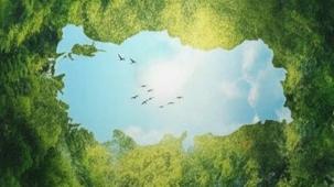 Burhanettin Duran'dan Çanakkale’de hatıra ormanı paylaşımı