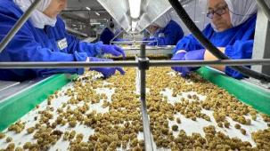 Organik sektör 15 milyar dolarlık hacme ulaştı