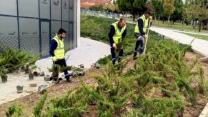 Dilovası Millet Bahçesi'nde dip köşe temizliği