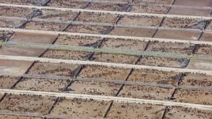 Endüstriyel hayvancılık küresel iklim hedeflerini tehdit ediyor