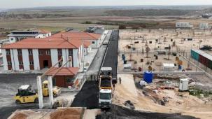 Eskişehir'de hayvan barınağında sona yaklaşılıyor