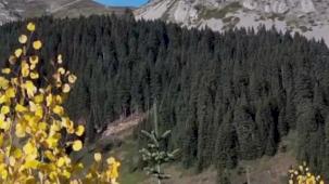 Ilgaz Dağı sonbaharda renk cümbüşü