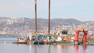 İzmit Körfezi yeniden nefes aldı... Temizlenen körfezde artık yunuslar dans ediyor