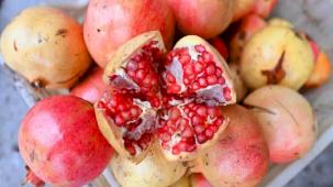 Mersin'de üreticilere nar taneleme ve sıkma makinesi desteği