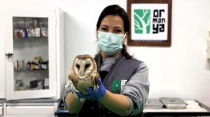 Ormanya yaban hayvanlarına umut oluyor