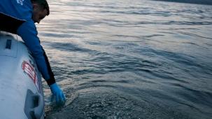 Sapanca Gölü’ndeki su kabarcıkları endişelendirdi! Herhangi bir olumsuzluk yok!