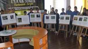 Yalova'da 29 endemik bitki geleceğe aktarılıyor