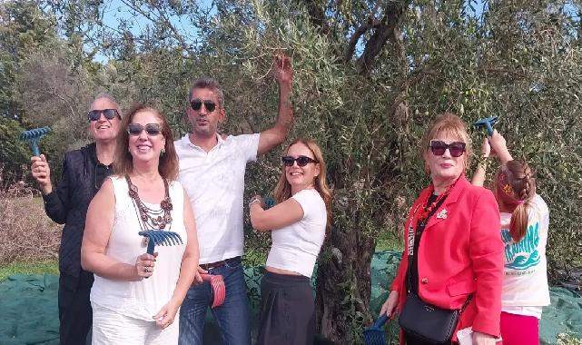 Urla'da zeytin hasadı etkinliği