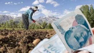 Kooperatiflere 4,5 milyar TL'lik kredi desteği