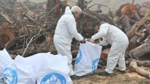 Manisa'da ihtiyaç sahiplerine odun desteği