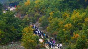 Sakarya’da doğayla iç içe sonbahar