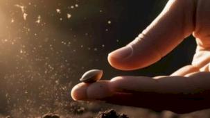 Tohumculuk sektöründeki 'Rekabet' soruşturması genişletildi... O soruşturmada yeni firmalar eklendi