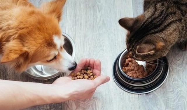 Kedi-köpek maması sektörü ihracatını 11 yılda 33 kat artırdı