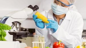 Gıda katkı maddelerine yeni düzenleme... İşletmelere 1 Mart'a kadar uyum süresi