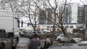 İstanbul'da fırtına: Ağaç devrildi, sahil yolları kapandı!