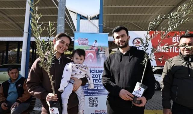 Denizli Büyükşehir’den üreticiye zeytin fidanı desteği